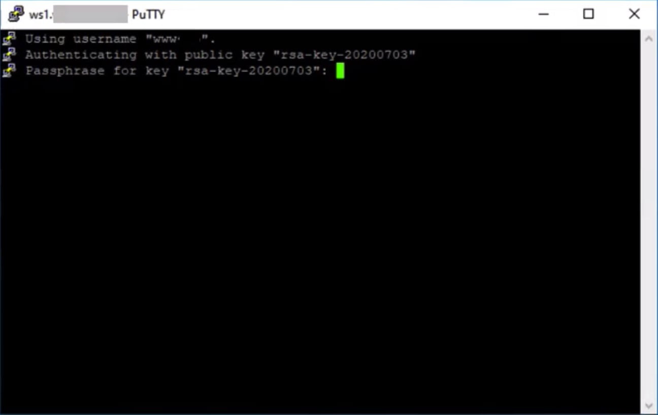 PuTTY SSH 0.79 for windows download free